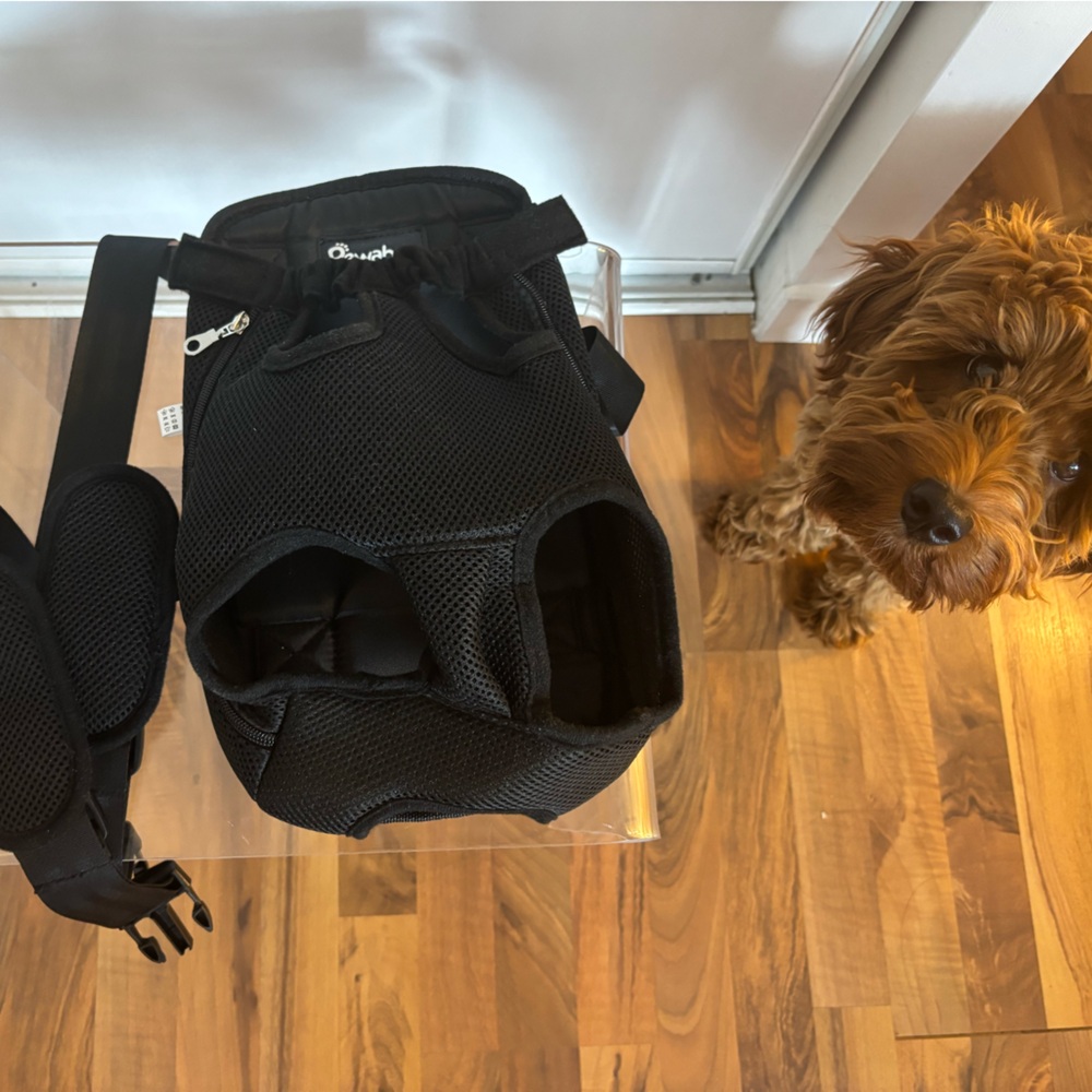 Black Pet Carrier